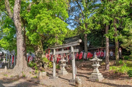 浜松市 気賀 四所神社鳥居(静岡) 浜松市 気賀 四所神社鳥居(静岡) 末社,四所神社,神社の写真素材