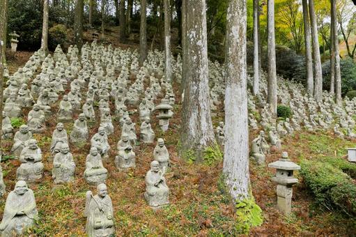 千如寺大悲王院 千如寺大悲王院 千如寺大悲王院,日本,九州の写真素材