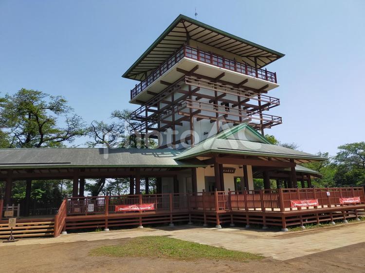 枡形山城跡 景色,社,風景の写真素材