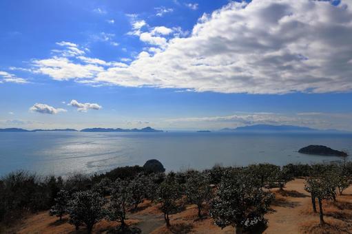 万葉の岬 万葉の岬の写真