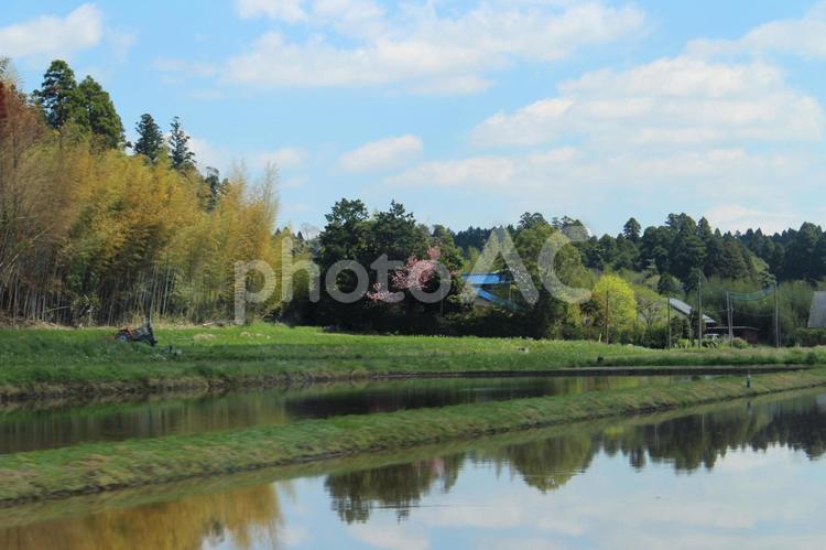 青空と水田に写る景色 青空,水田,雲の写真素材