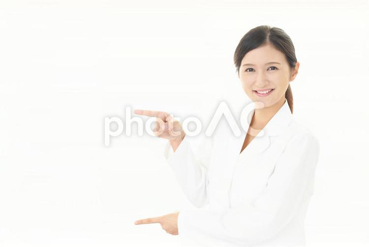 案内する薬剤師 薬剤師,医療,薬局の写真素材