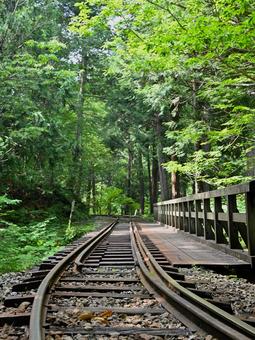 Photo, akazawa natural recreation forest, japan&#39;s three major forests, akazawa forest railway, 