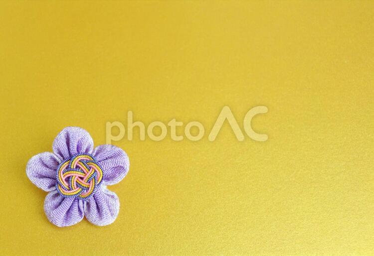 つまみ細工の花と水引の梅結び つまみ細工,花,ちりめんの写真素材