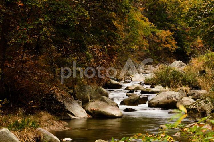 山梨県甲府市　昇仙峡の紅葉 昇仙峡,山梨,紅葉の写真素材