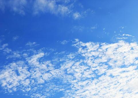夏雲と青空 夏雲と青空の写真
