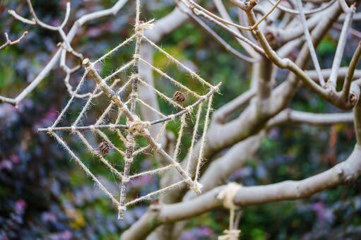 紐や枝で作ったかわいらしい人工の蜘蛛の巣 動物,屋外,夏の写真素材