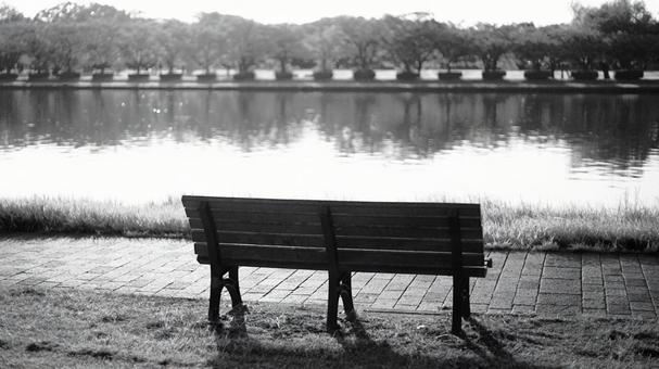 水元公園 水元公園の写真