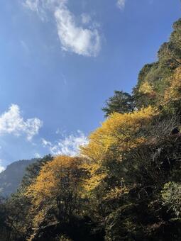 錦秋の渓谷 山,森,川の写真素材