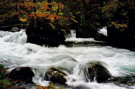 秋の渓流と紅葉 秋の渓流と紅葉 渓流,紅葉,秋の写真素材