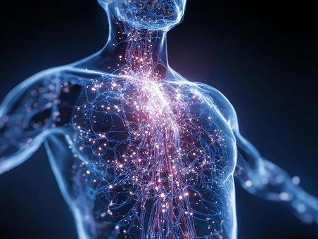生命の神秘を感じさせるリンパ系 生命の神秘を感じさせるリンパ系の写真