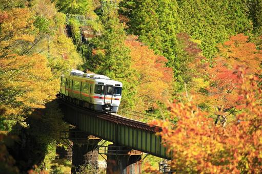 高山本線の紅葉 高山本線,紅葉,ロ－カル電車の写真素材
