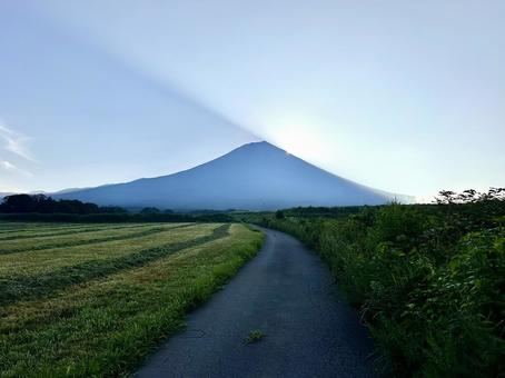 静かな朝の富士山 静かな朝の富士山の写真