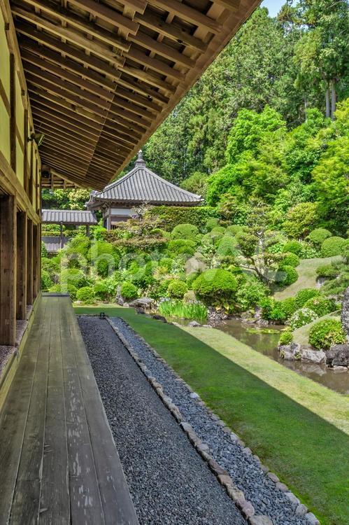 浜松市 龍潭寺の縁側と庭園（静岡） 日本庭園,庭,龍潭寺の写真素材