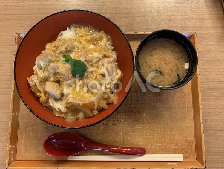 親子丼 親子丼,卵料理,どんぶりの写真素材