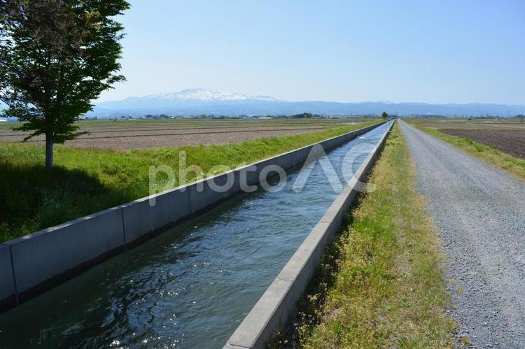 農道と農業用水路 田園風景 農道,農業用道路,農業用の道路の写真素材