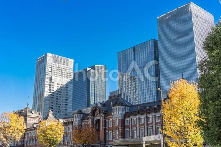 東京駅舎とイチョウの木 四季の写真,東京駅,東京駅舎の写真素材