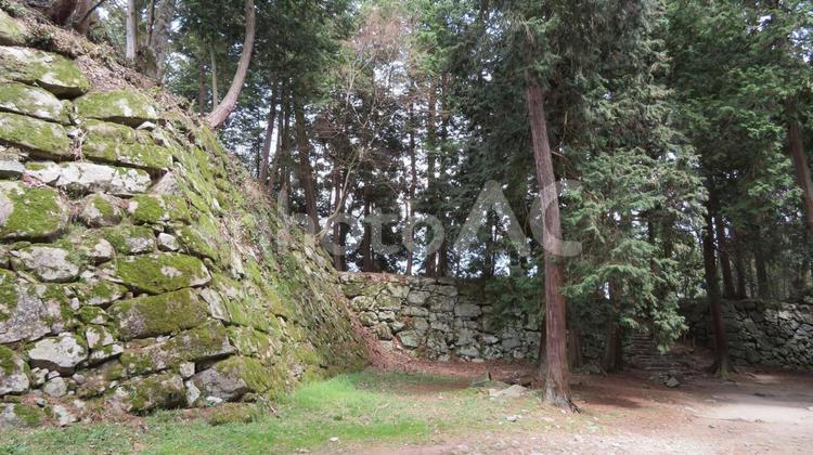 安土城　本丸跡 安土城,織田信長,城の写真素材