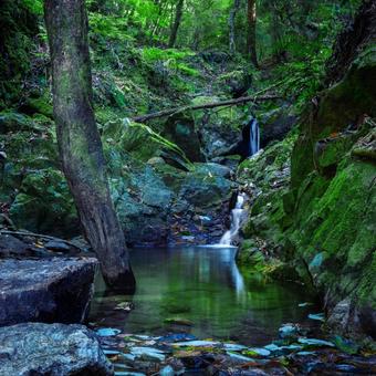 山奥の神秘 山奥の神秘 自然,景色,風景の写真素材