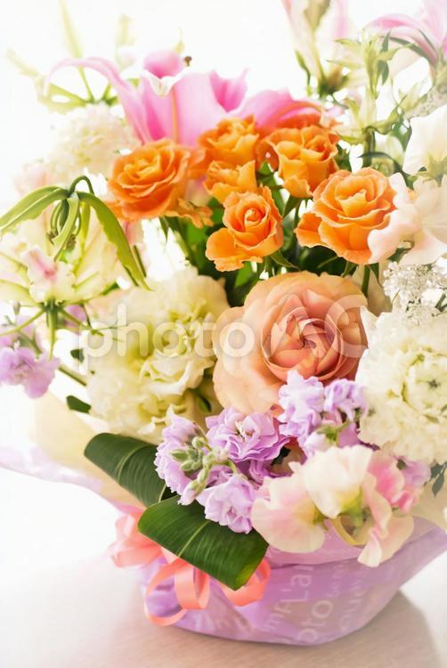 薔薇のフラワーアレンジメント バラ,薔薇,ばらの写真素材