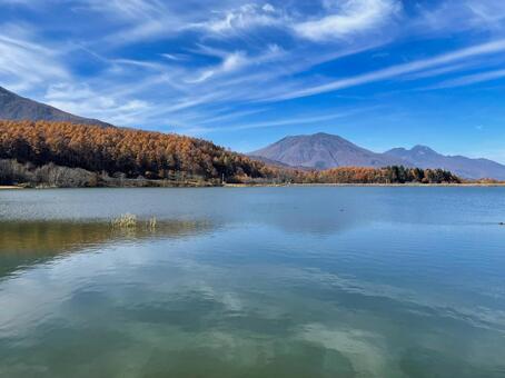 遠くに黒姫山妙高山を望む秋の湖畔 紅葉,湖,湖畔の写真素材