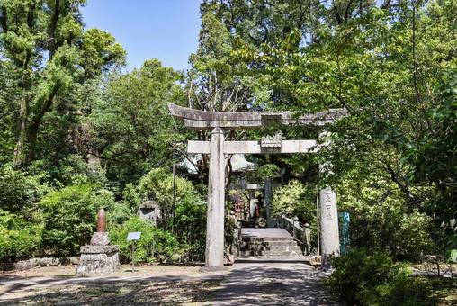 松森天満宮 鳥居 松森天満宮 鳥居 松森天満宮,神社,天満宮の写真素材