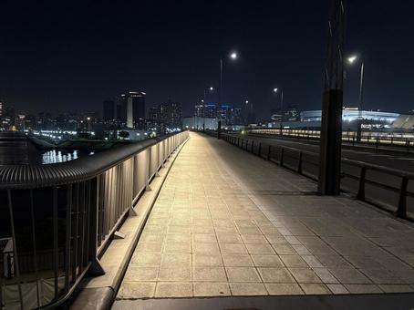 豊洲に至る橋 レインボーブリッジ,夜景,橋の写真素材