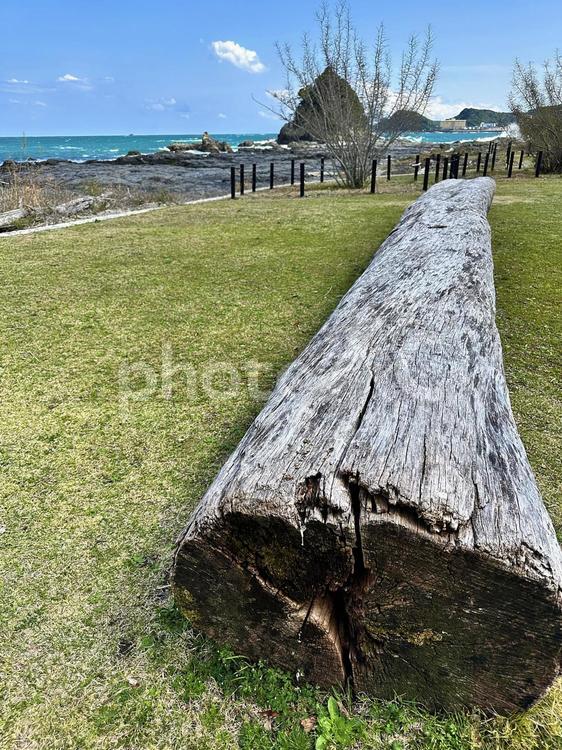 太地町夏山　夏山園地　海岸公園　春の磯 太地町夏山,芝生広場,海岸の写真素材