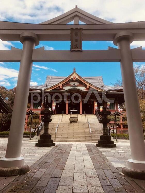 目黒不動尊 目黒不動尊,旅,目黒の写真素材