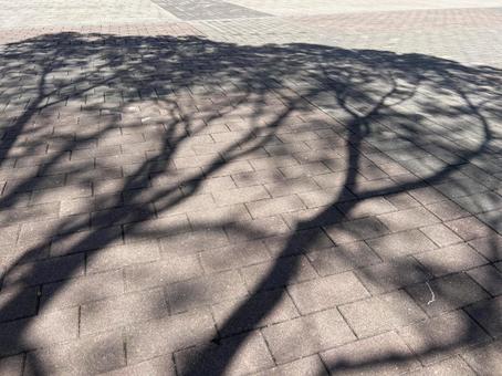 日陰で涼みながら 日陰で涼みながらの写真