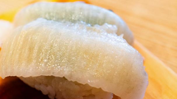エンガワのにぎり寿司 エンガワのにぎり寿司 エンガワ,握り寿司,寿司の写真素材