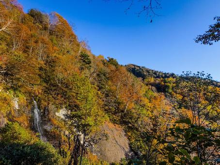 紅葉の滝 滝,紅葉,登山道の写真素材