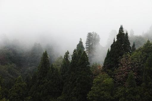 霧の山 霧の山 霧,靄,霞の写真素材