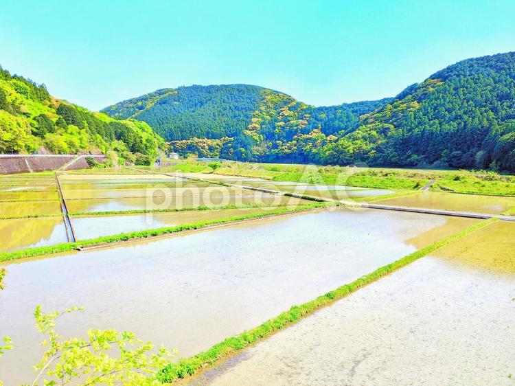 春の田園風景 風景,田園,自然の写真素材