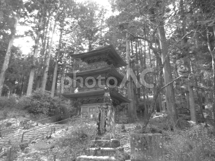 長野県-光前寺-三重塔と霊犬早太郎像 光前寺,寺,宝積山の写真素材