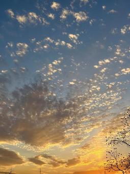 綺麗な空の写真