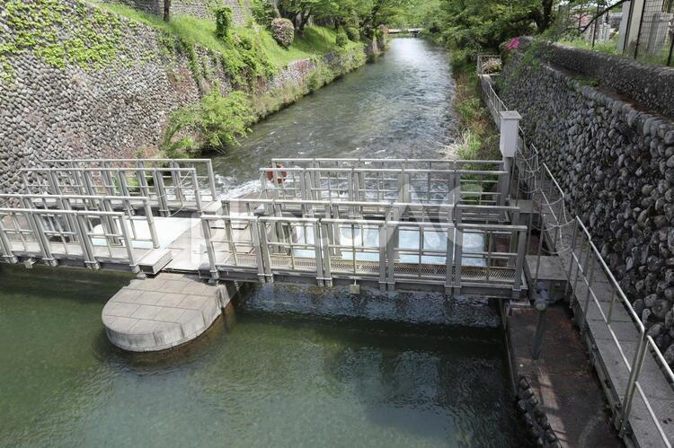玉川上水　羽村取水堰 多摩川,玉川上水,玉川の写真素材