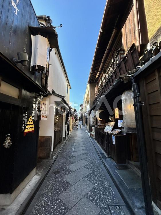 京都の花街・先斗町通り 京都,先斗町,和の写真素材