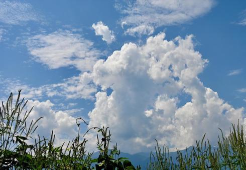 夏から秋へ 夏から秋への写真