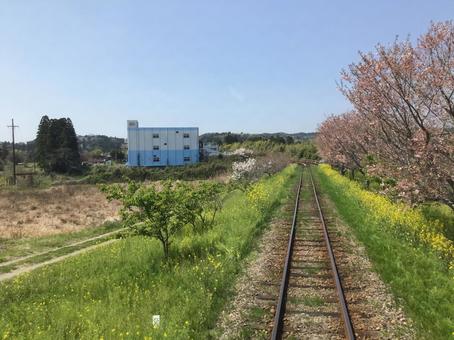 線路 線路,桜,大多喜駅の写真素材