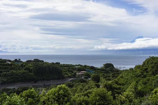 初夏の沼津市西浦地区からみた富士山 富士山,沼津,西浦の写真素材