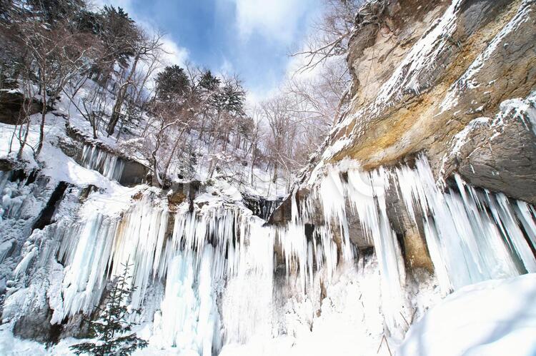 結氷の七条大滝 七条大滝,水,景色の写真素材