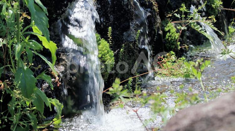 五月の芝川の棚田石垣から流れる水 田植え時期,五月,水張りの写真素材