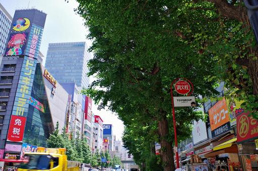 秋葉原2025夏　中央通り南向き 秋葉原,中央通り,外神田3丁目の写真素材