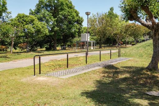 夏の公園の小道 夏の公園の小道 公園,夏,小道の写真素材