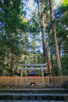 竜穴神社 竜穴神社,室生,パワースポットの写真素材