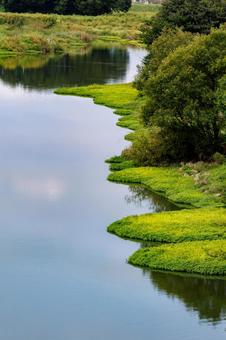 川面に映る青空と新緑 風景,自然,池の写真素材