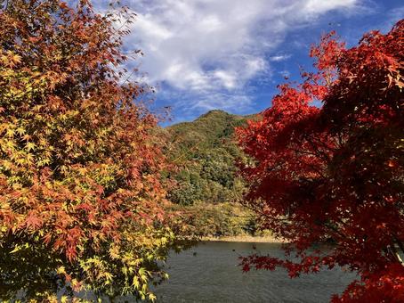 草木湖秋景色５の写真