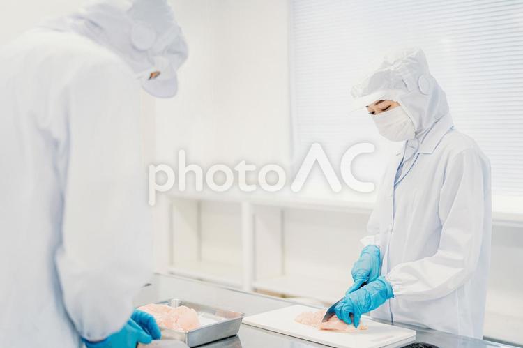 食品加工の仕事をする作業員の男女（精肉） 食品加工,精肉加工,肉の写真素材