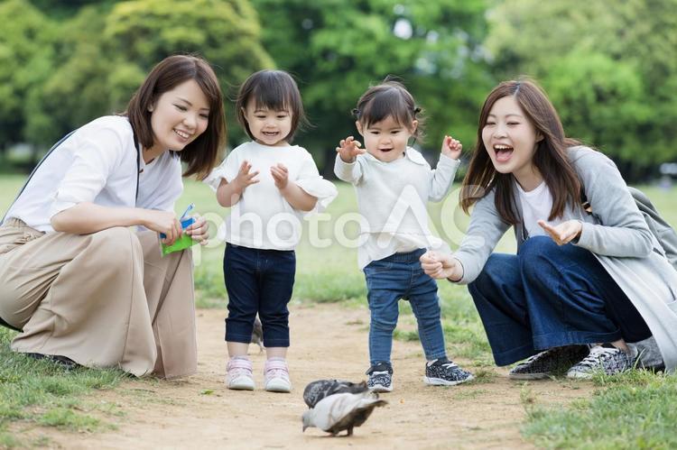 ママ友　母親　育児　 ママ友,公園,女性の写真素材